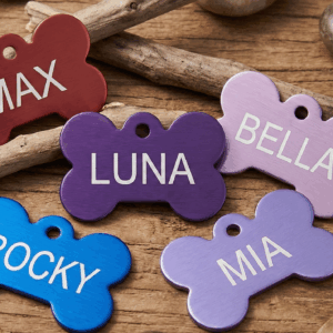 Médailles pour animaux